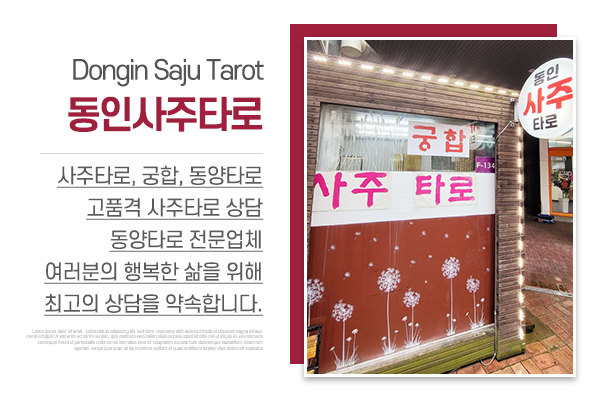 동인사주타로_메인상단_소개