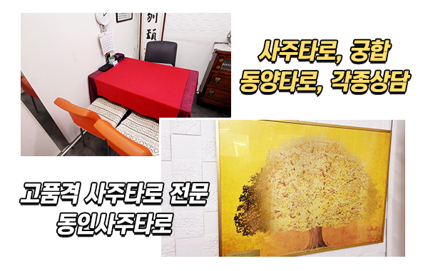 동인사주타로_메인상단_이미지