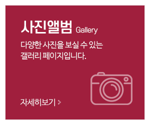 동인사주타로_메인중간_사진앨범